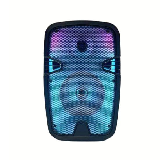 8 inch outdoor Bluetooth speaker