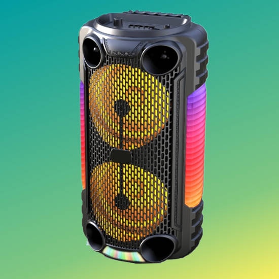 Double 6.5 inch portable Bluetooth speaker