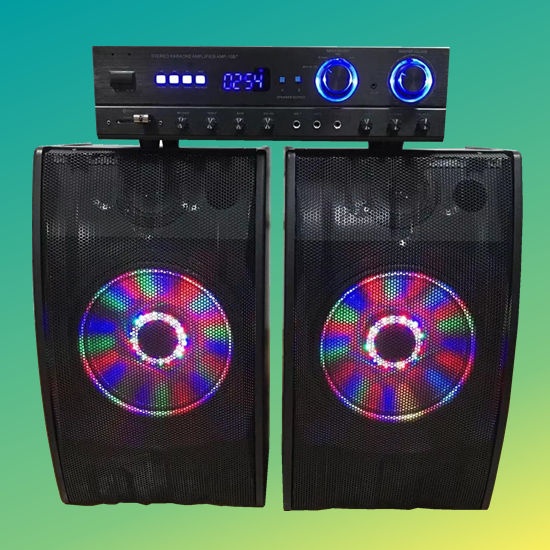 10'' Karaoke Speaker System with Amplifier