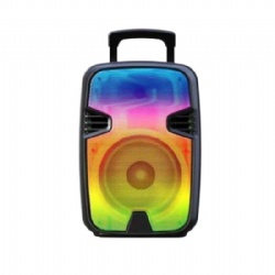 12 portable party speaker