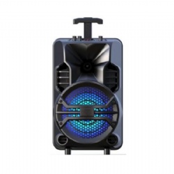 8 inch portable Bluetooth speaker