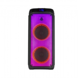 Double 8 inch big power party speaker