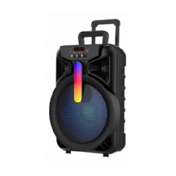 NEW 12 battery outdoor speaker