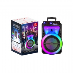 12 inch battery lighted speaker