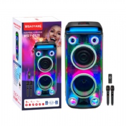 Dual 8 inch battery Bluetooth speaker