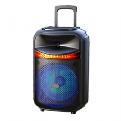 15 inch big power outdoor trolley speaker