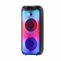 Double 8 inch outdoor Bluetooth speaker