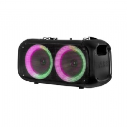 Double 6 inch Bluetooth speaker with strap