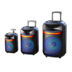 12 inch outdoor Bluetooth trolley speaker