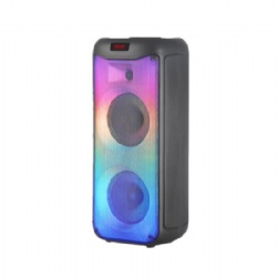 HOT selling double 6.5 battery speaker