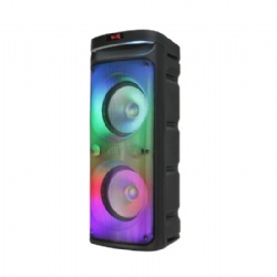 NEW double 10 inch party speaker