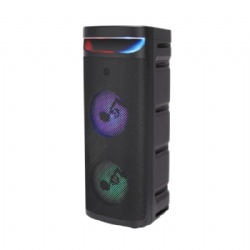 Double 10 inch party speaker