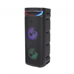 Double 10 inch party speaker