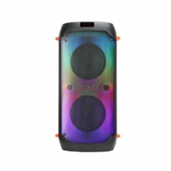 Double 8 inch outdoor speaker