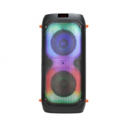 Double 8 inch rechargeable batty speaker